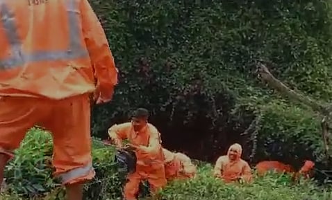 காட்டாற்று வெள்ளத்தில் அடித்து செல்லப்பட்ட  பெண்.. சுற்றுலா வந்த இடத்தில் நடந்த துயரம்!