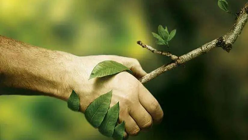 இயற்கைக்கும் மனிதனுக்கும்..  'விட்ட குறை, தொட்ட குறை என்ன?