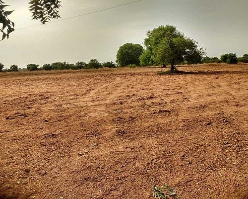 மண்ணிலிருந்து வந்த சத்தம்! அம்மாவால் உயிரோடு புதைக்கப்பட்ட சிறுமி.. பீகாரை உலுக்கிய அதிர்ச்சி சம்பவம்!