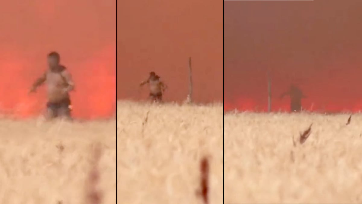 திடீரென ஏற்பட்ட காட்டுத்தீ.. சட்டையை கழட்டிவிட்டு ஓடிய தீயணைப்பு வீரர்.. வைரலாகும் வீடியோ! 