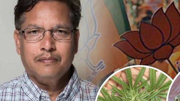 ”பாங்கு, கஞ்சாவை அரசே விற்க வேண்டும்”.. ஐடியா கொடுப்பதாக நினைத்து சர்ச்சையில் சிக்கிய பா.ஜ.க MLA!