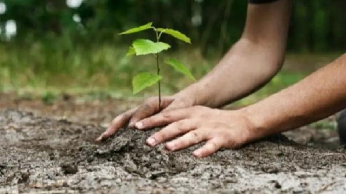 "தள்ளி நில்லுங்கள்,நீங்கள் கிட்ட வந்தால் மரம் கருகிவிடும்"-பழங்குடி மாணவிகளை கண்டித்த அறிவியல் ஆசிரியர்! 