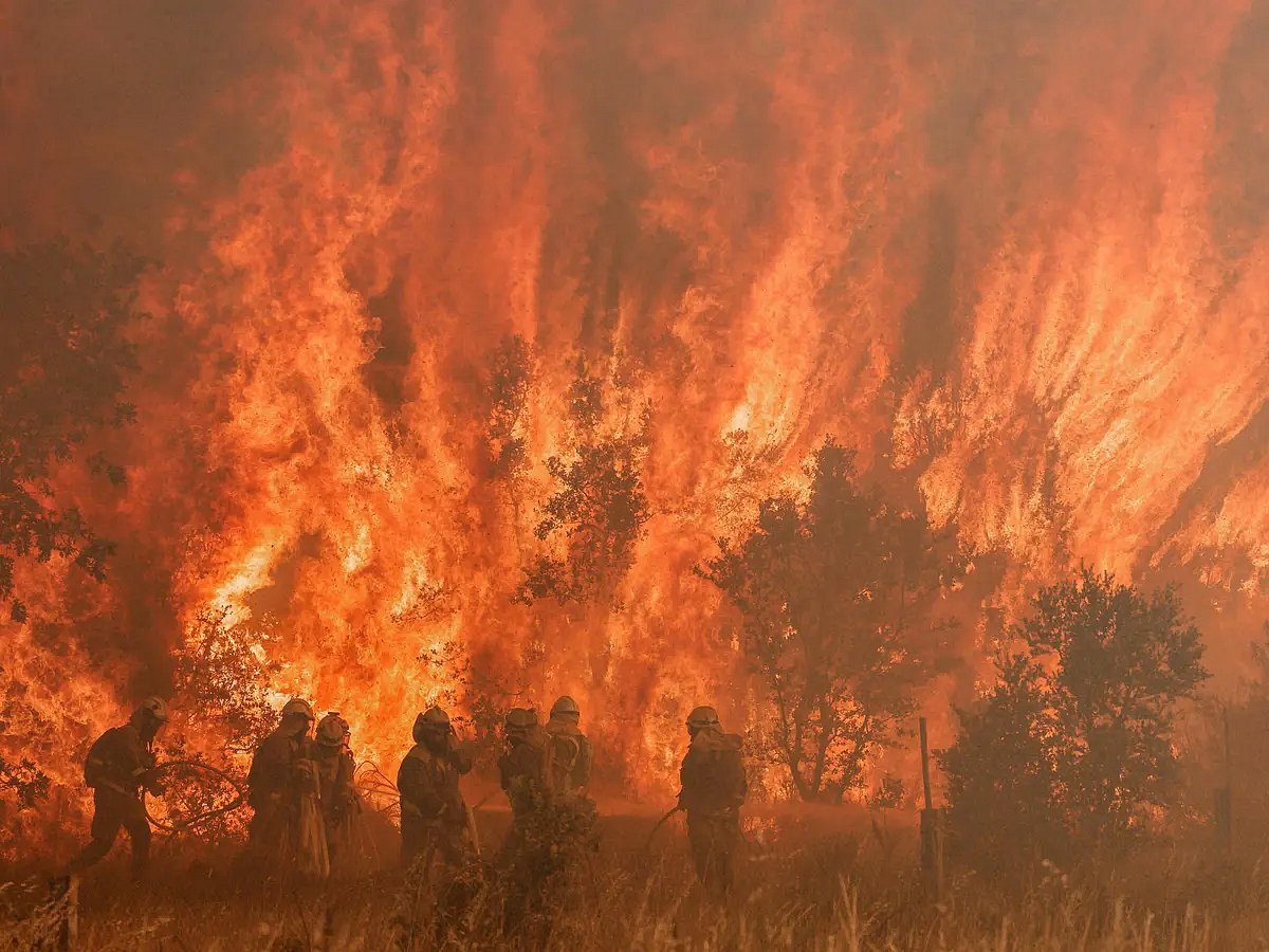 ரயிலின் இரு புறமும் பற்றி எரிந்த தீ.. பயணிகளின் திக் திக் நிமிடங்கள்.. வெளிவந்த அதிர்ச்சி வீடியோ! 