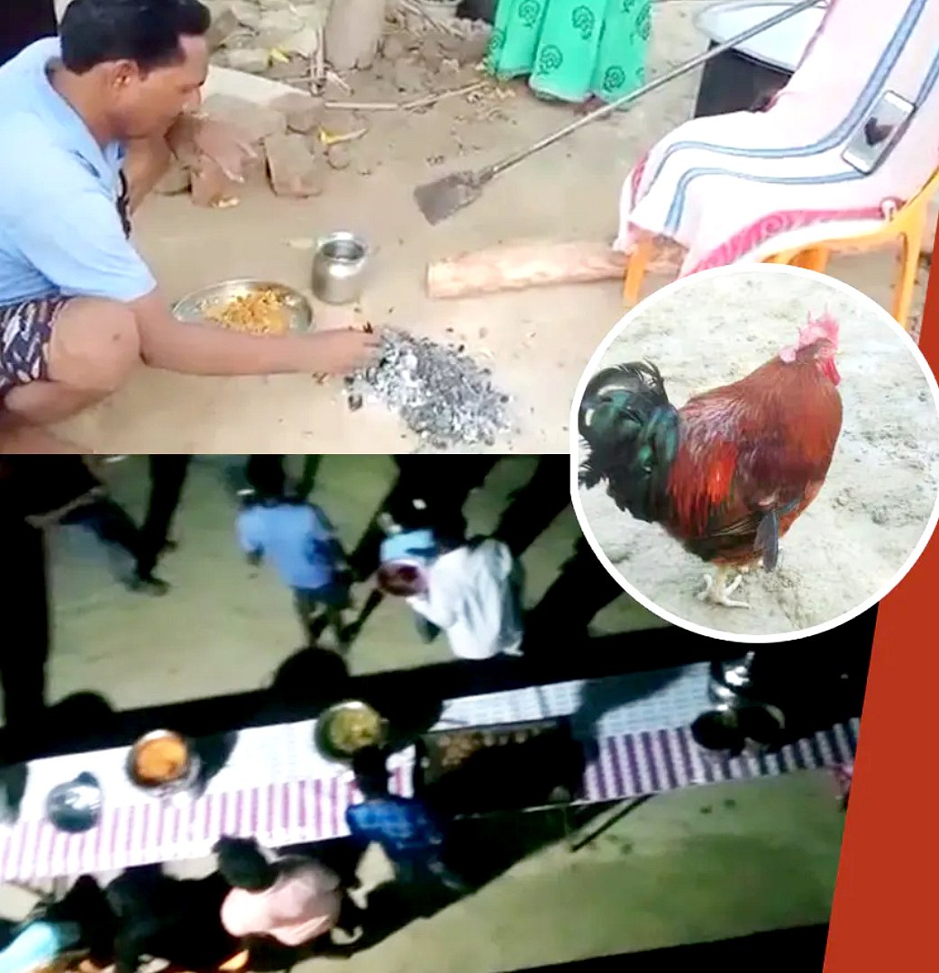 ஆட்டுக்குட்டிக்காக நாய்களிடம் சண்டையிட்டு உயிர்நீத்த சேவல்: நினைவேந்தல் செய்த ஊர்மக்கள் : உ.பி நெகிழ்ச்சி