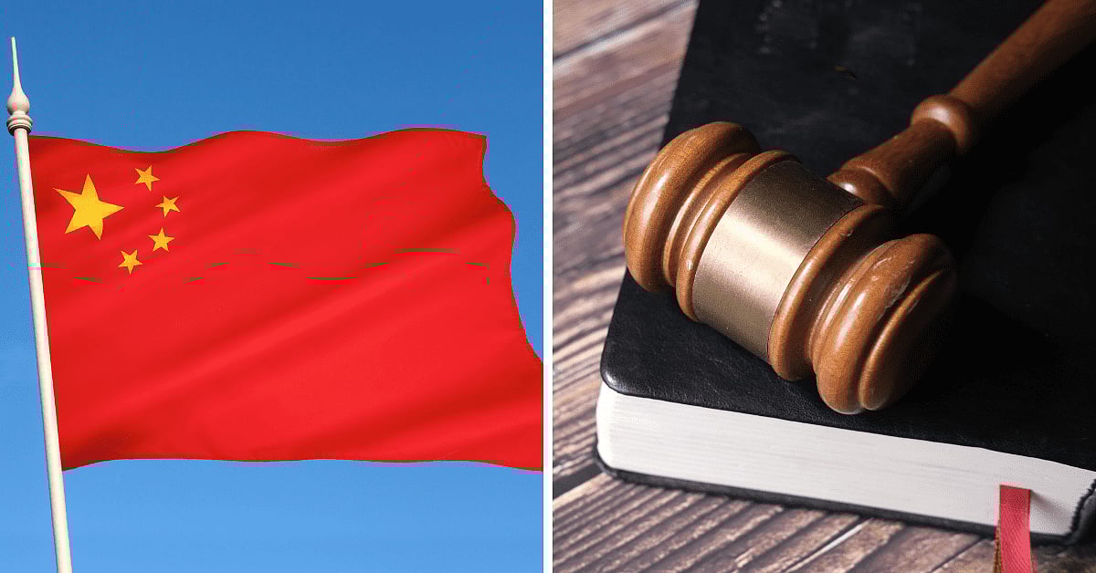 'ஆன்லைன் வகுப்பின்போது பூனை வந்ததால் ஆசிரியர் டிஸ்மிஸ்..' 4.8 லட்சம் இழப்பீடு வாங்கிய ஆசிரியர் - நடந்தது?