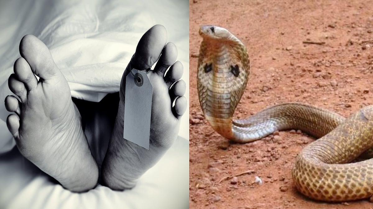 'காத்திருந்து பழி வாங்கும் பாம்பு..?' - அண்ணன் இறுதி சடங்கிற்கு சென்ற தம்பிக்கு நேர்ந்த துயரம் !