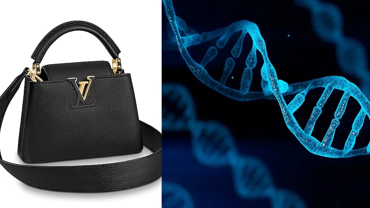 இதுக்கெல்லாமா DNA டெஸ்ட் பண்ணுவாங்க :Handbag மீது சிறுநீர் கழித்த காதலன் மீது போலிஸ் புகார் கொடுத்த காதலி