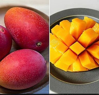 "3 மாம்பழம்.. 10 லட்ச ரூபாயா..?" : ஏலத்தில் எடுத்த தமிழன் - சுவாரஸ்ய கதை !