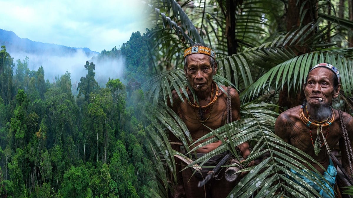 பழங்குடி மனிதனால் காட்டுக்கு ஆபத்து இல்லை ! பின்னர் வேறெந்த மனிதனால் இயற்கைக்கு ஆபத்து ?