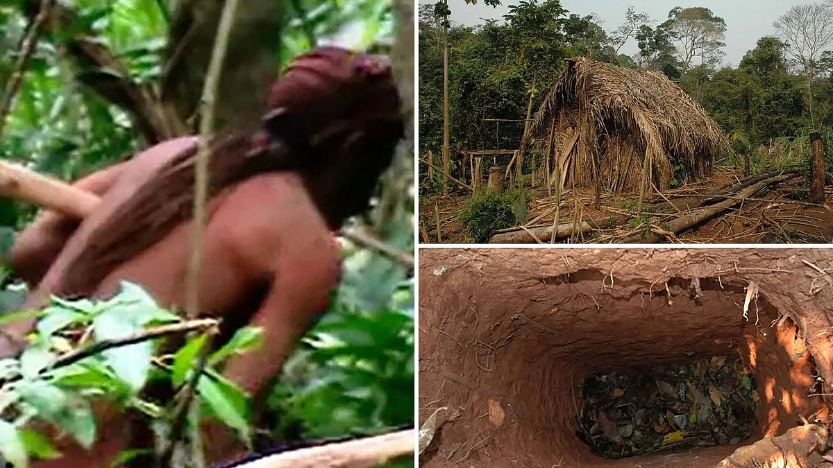பூர்வீக பழங்குடியினர் இல்லாத பகுதியானது அமேசான்.. காட்டின் கடைசி மனிதரும் உயிரிழந்த சோகம் !