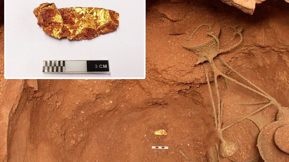 “ஆதிச்சநல்லூரில் 3000 ஆண்டுக்கு முந்தைய தங்க கிரீடம் கண்டுபிடிப்பு”: செல்வ செழிப்புடன் வாழ்ந்த தமிழர்கள்!