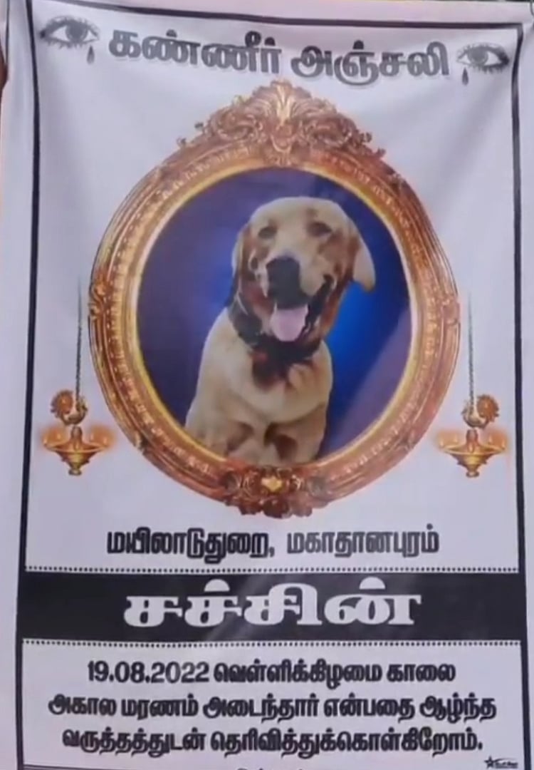 'அன்பென்ற மழை..' - காவல் காத்த செல்லப்பிராணிக்கு கல்லறை கட்டும் காவலர் குடும்பம்.. நெகிழ்ச்சி நிகழ்வு !