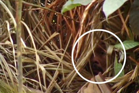 பூர்வீக பழங்குடியினர் இல்லாத பகுதியானது அமேசான்.. காட்டின் கடைசி மனிதரும் உயிரிழந்த சோகம் !