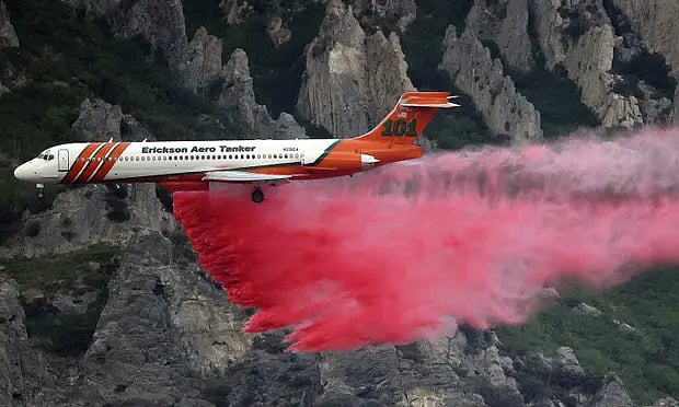 தொல்லை கொடுத்த சிலந்தி.. கடுப்பில் முழு காட்டையே கொளுத்திய போதை ஆசாமி ! பின்னணி என்ன ?