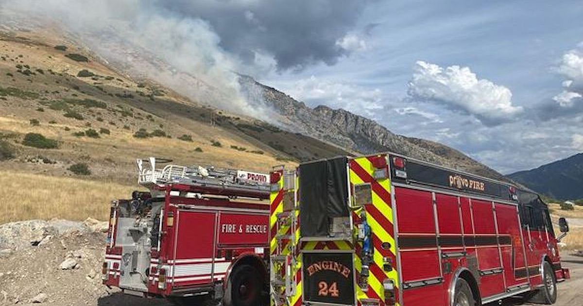 தொல்லை கொடுத்த சிலந்தி.. கடுப்பில் முழு காட்டையே கொளுத்திய போதை ஆசாமி ! பின்னணி என்ன ?