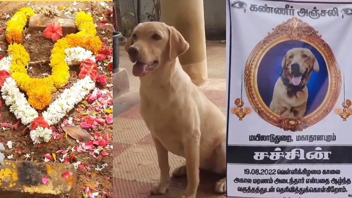 'அன்பென்ற மழை..' - காவல் காத்த செல்லப்பிராணிக்கு கல்லறை கட்டும் காவலர் குடும்பம்.. நெகிழ்ச்சி நிகழ்வு !