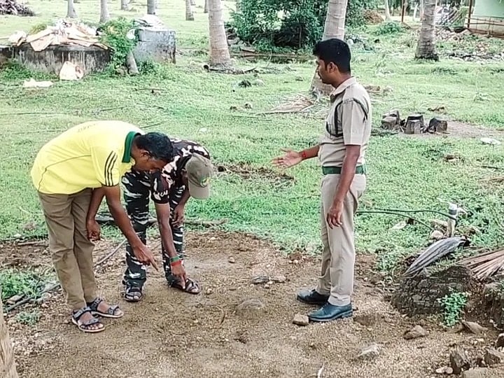 ஆடு, நாய்களை கொடூரமாக வேட்டையாடி வந்த சிறுத்தை.. ஈரோட்டில் சிக்கியது எப்படி ?