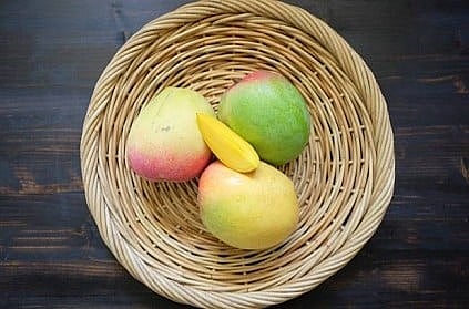 "3 மாம்பழம்.. 10 லட்ச ரூபாயா..?" : ஏலத்தில் எடுத்த தமிழன் - சுவாரஸ்ய கதை !