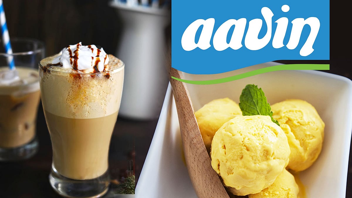 Cold Coffee, பலாப்பழ ஐஸ்கிரீம்.. ஆவின் அறிமுகம் செய்ய உள்ள 10 புதிய பொருட்கள் இவைதான்!