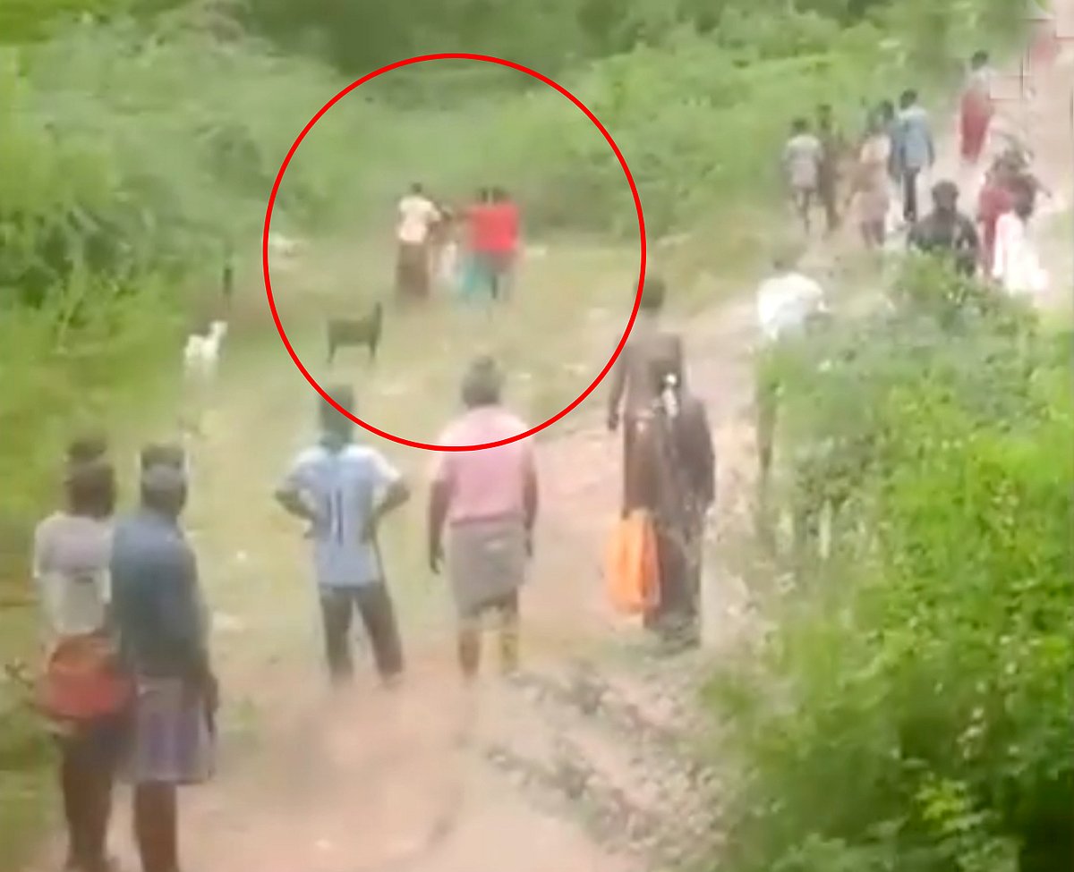 சினிமா பாடலை மாற்றாததால் ஆத்திரம்.. பேருந்து ஓட்டுநரை சரமாரியாக தாக்கிய கும்பல்.. நாகையில் பரபரப்பு !