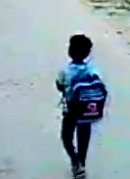 பள்ளிக்குச் சென்ற சிறுவன்.. விரட்டி விரட்டி துரத்திய தெரு நாய்கள்: காரணம் என்ன?