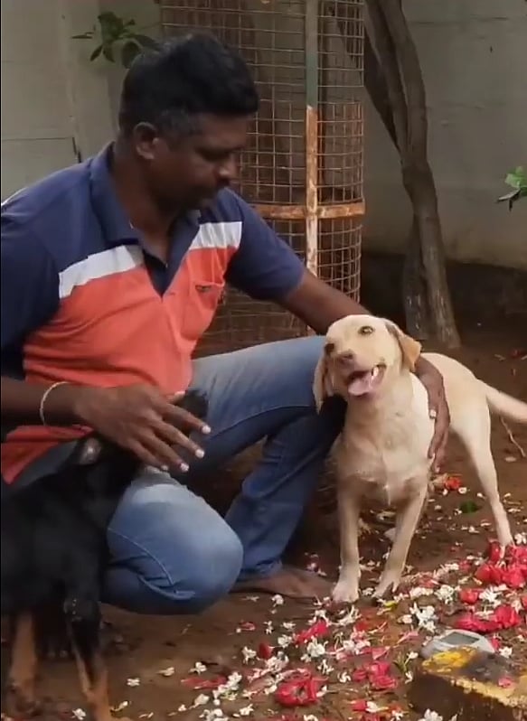 'அன்பென்ற மழை..' - காவல் காத்த செல்லப்பிராணிக்கு கல்லறை கட்டும் காவலர் குடும்பம்.. நெகிழ்ச்சி நிகழ்வு !