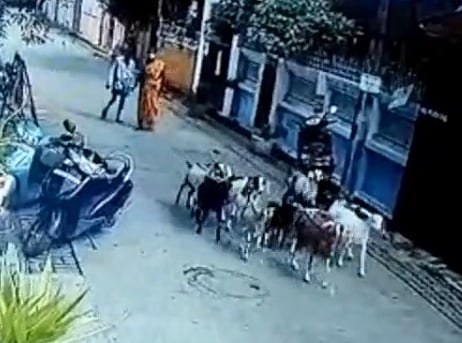 15 ஆடுகளை திருடி விற்பனை செய்த பெண்.. 'காப்பு' மாட்ட வைத்த சி.சி.டி.வி காட்சிகள்!