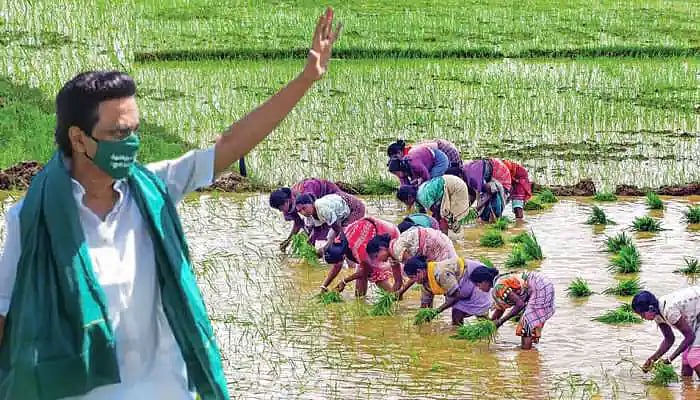 20 ஆண்டு இல்லாத அளவுக்கு நெல் உற்பத்தியில் புதிய சாதனை.. ஒரே ஆண்டில் சாதித்த கோன் முதல்வர் மு.க.ஸ்டாலின்!