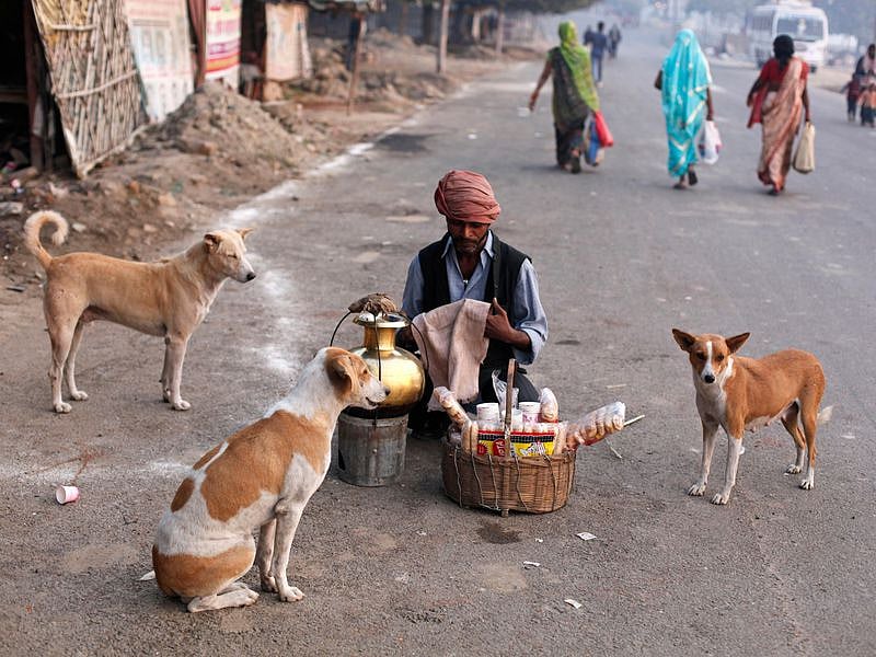 தெரு நாய்களுக்கு உணவு வைப்பவர்களுக்கு எச்சரிக்கை.. உச்சநீதிமன்றத்தின் உத்தரவு என்ன ?
