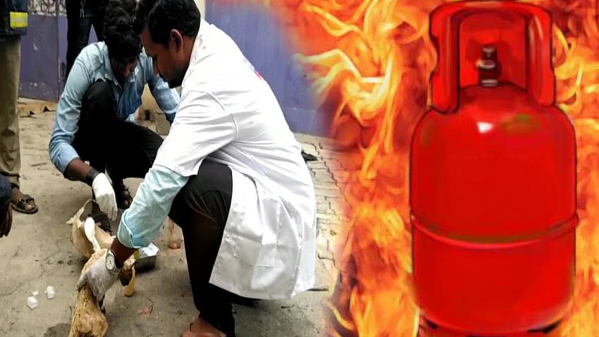 காஞ்சி: சிலிண்டர் விபத்தில் காயமடைந்த விலங்குகள்- விரைந்து காப்பாற்றிய தமிழக அரசின் கால்நடை மருத்துவர்கள்