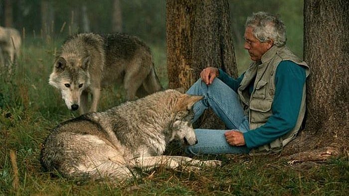 பேராசைப்பட்டால் என்ன நடக்கும்?.. ஓநாய் வழி மனிதர்களுக்கு உணர்த்தும் ஒரு ஜப்பானிய சிறுகதை!