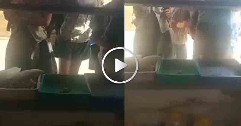 சிறார்களுக்கு தின்பண்டம் வழங்க மறுப்பு :5 பேர் மீது வழக்கு, 2 பேர் கைது - அரசு தரப்பில் வெளியான விளக்கம்!