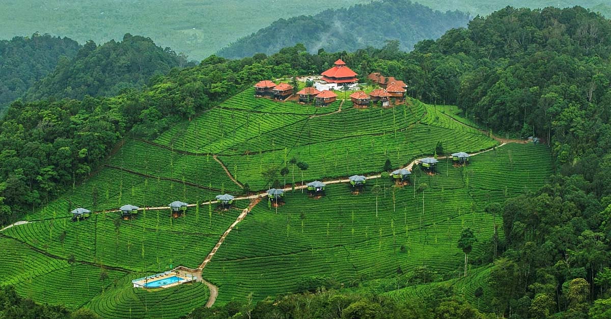 உலக புகழ்பெற்ற சுற்றுலா தலமாக திகழும் நீலகிரி.. எங்கெல்லாம் போகலாம், என்னவெல்லாம் பார்க்கலாம்? 