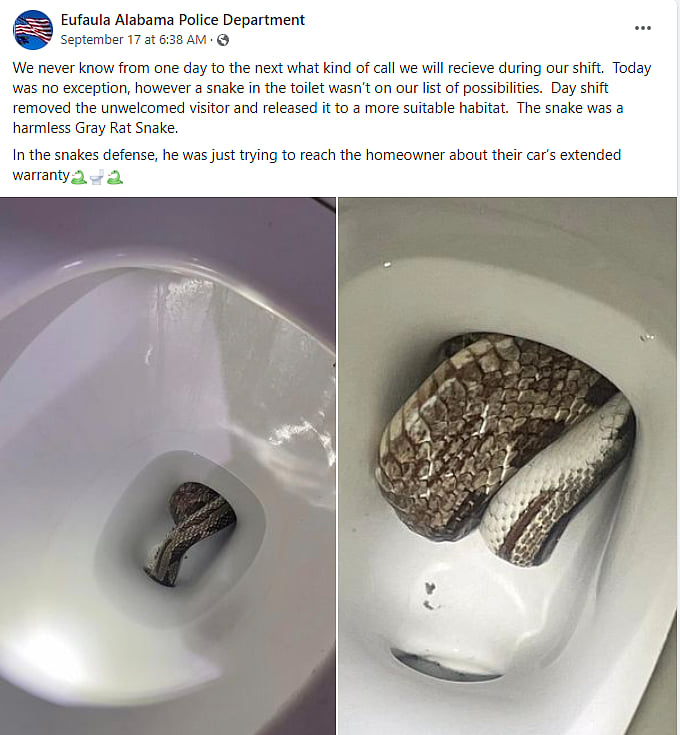 பொதுமக்களே உஷார்.! கழிவறை கோப்பைக்குள் பதுங்கியிருந்த பாம்பு.. இணையத்தில் வைரலாகும் அதிர்ச்சி புகைப்படம்!