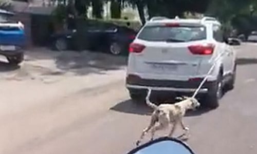 நாயை காரில் கட்டி தெருவில் இழுத்துச்சென்ற மருத்துவர்..தடுத்து நிறுத்திய பொதுமக்கள்..அதிரடி காட்டிய போலிஸ்