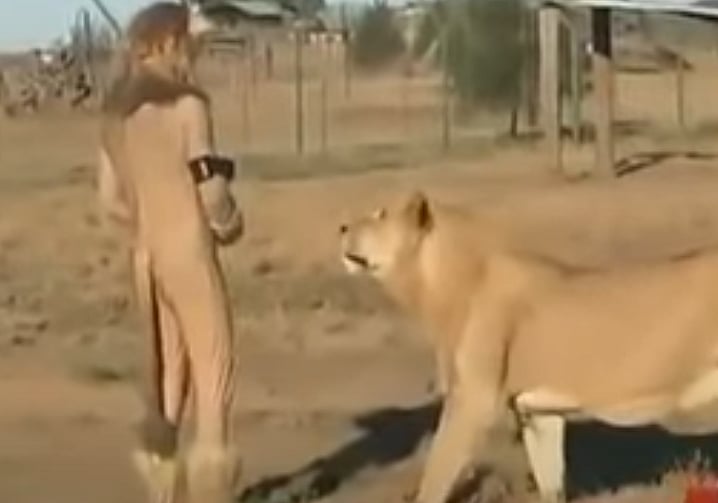 சிங்கத்துடனே Prank - சிறிய தவறால் கொதித்தெழுந்த சிங்கங்கள்.. உயிரை காப்பாற்ற அலறியடித்து ஓடிய YOUTUBER!