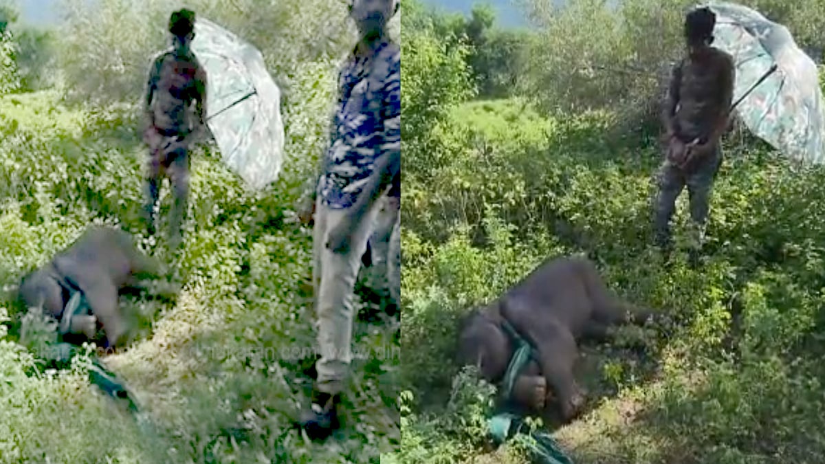 வெள்ளத்தில் அடித்து வரப்பட்ட குட்டியானை.. வெயில் படாமலிருக்க குடை பிடித்த தமிழக வனத்துறை:நெகிழ்ச்சி VIDEO