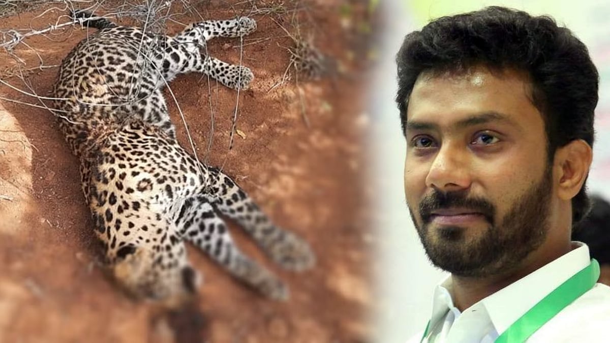 மின் வேலியில் சிக்கி சிறுத்தை உயிரிழந்த விவகாரம்: OPS மகனின் தோட்ட மேலாளர்கள் கைது - வனத்துறையினர் அதிரடி