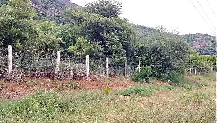 மின் வேலியில் சிக்கி சிறுத்தை உயிரிழந்த விவகாரம்: OPS மகனின் தோட்ட மேலாளர்கள் கைது - வனத்துறையினர் அதிரடி