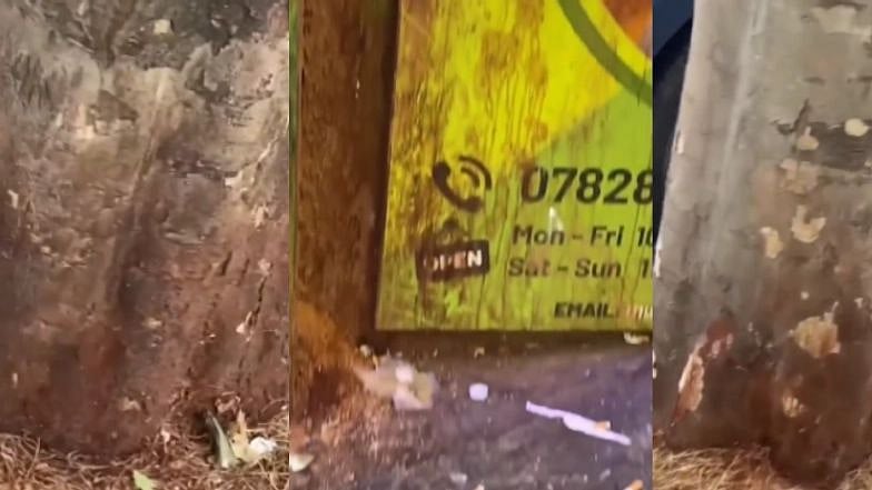 லண்டன் தெருக்களிலும் வேலையை காட்டிய வடக்கின் பான்பராக் பிரியர்கள் : வெளிநாட்டில் பறக்கும் இந்திய பெருமை !