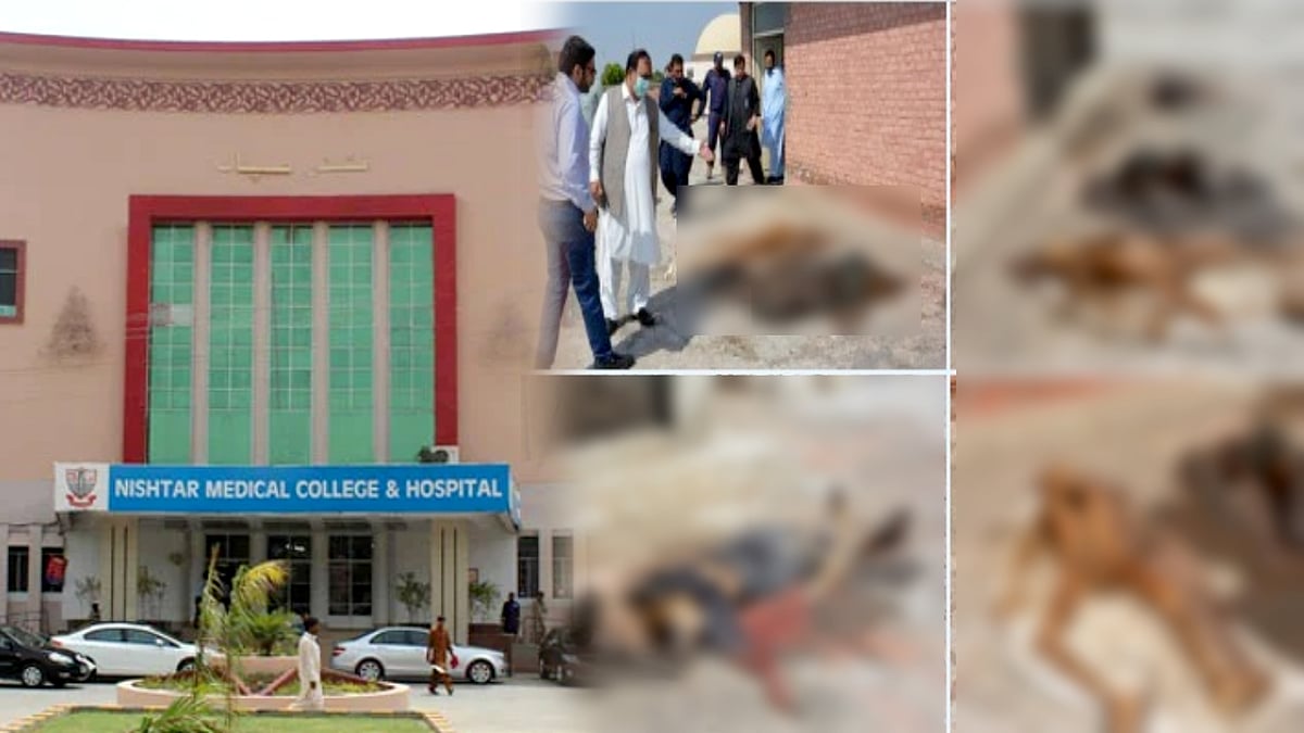 மருத்துவமனையின் மாடியில் 200-க்கும் மேற்பட்ட அழுகிய சடலங்கள்.. வீடியோ வெளியானதையடுத்து வெடித்த சர்ச்சை !