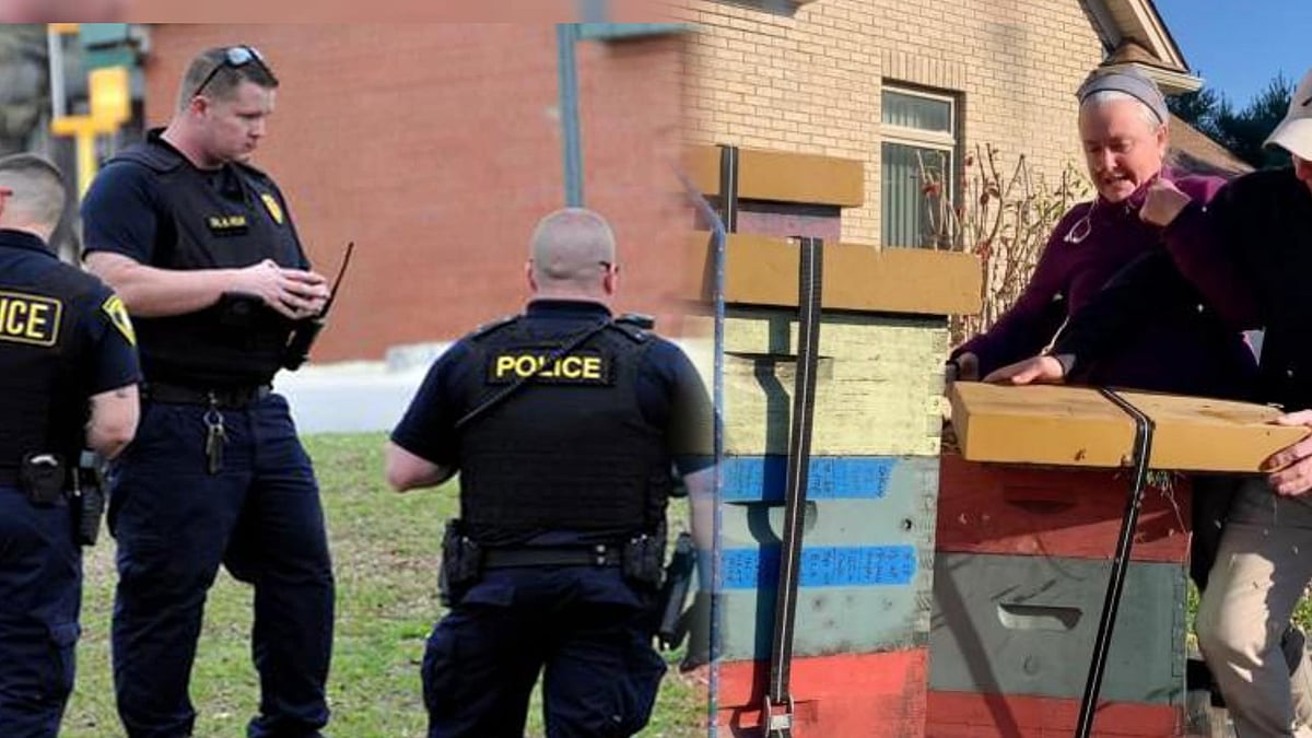 கைது செய்யவந்த போலிஸ்.. திடீரென பெண் செய்த செயலால் தெறித்து ஓடிய போலிஸார்.. நடந்தது என்ன ? 