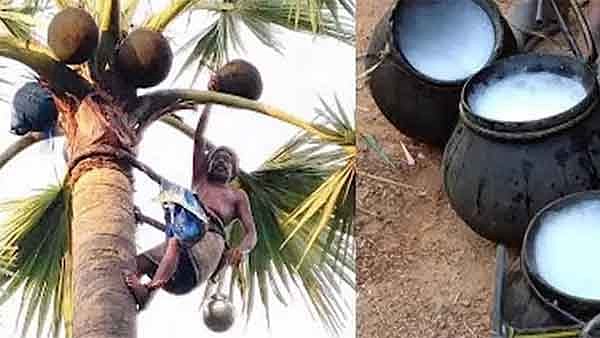 “நோயற்ற வாழ்வு வாழ வழிகாட்டும் சங்கத் தமிழரின் பாரம்பரிய உணவு முறைகள்” : உலக உணவு தின சிறப்புக் கட்டுரை!