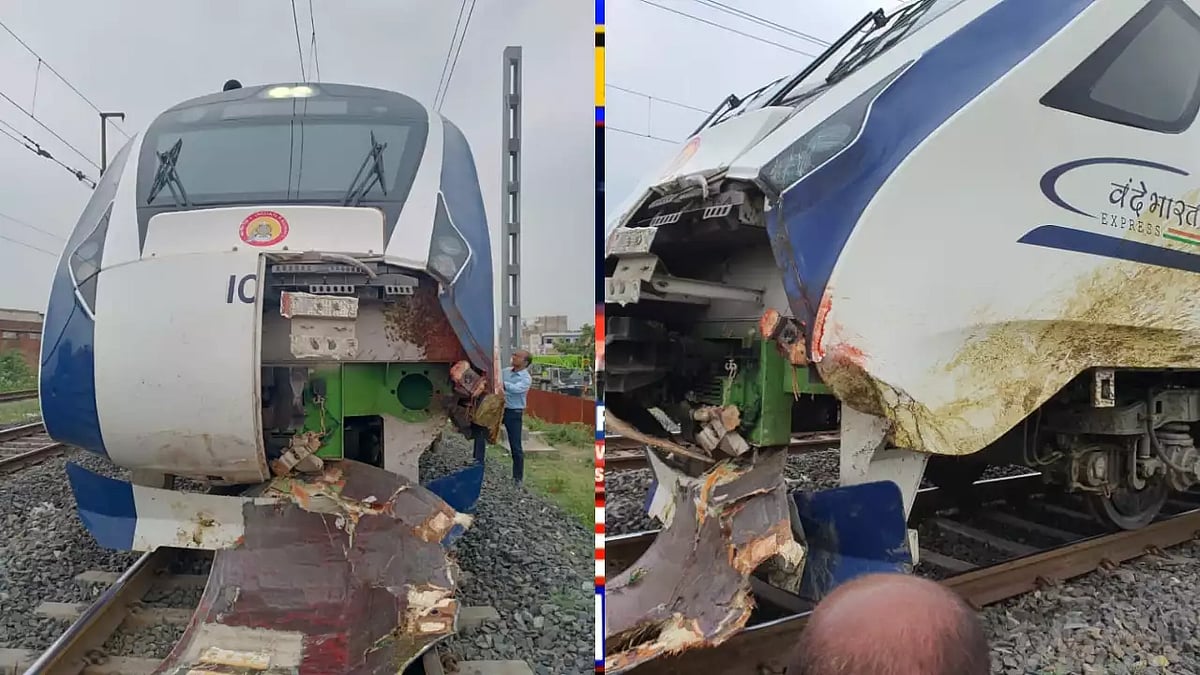 எருமை ஏன் அங்கே வந்தது? : உரிமையாளர்களின் மீது வழக்குப்பதிவு - வந்தே பாரத் ரயில் விவாகரத்தில் நடவடிக்கை!