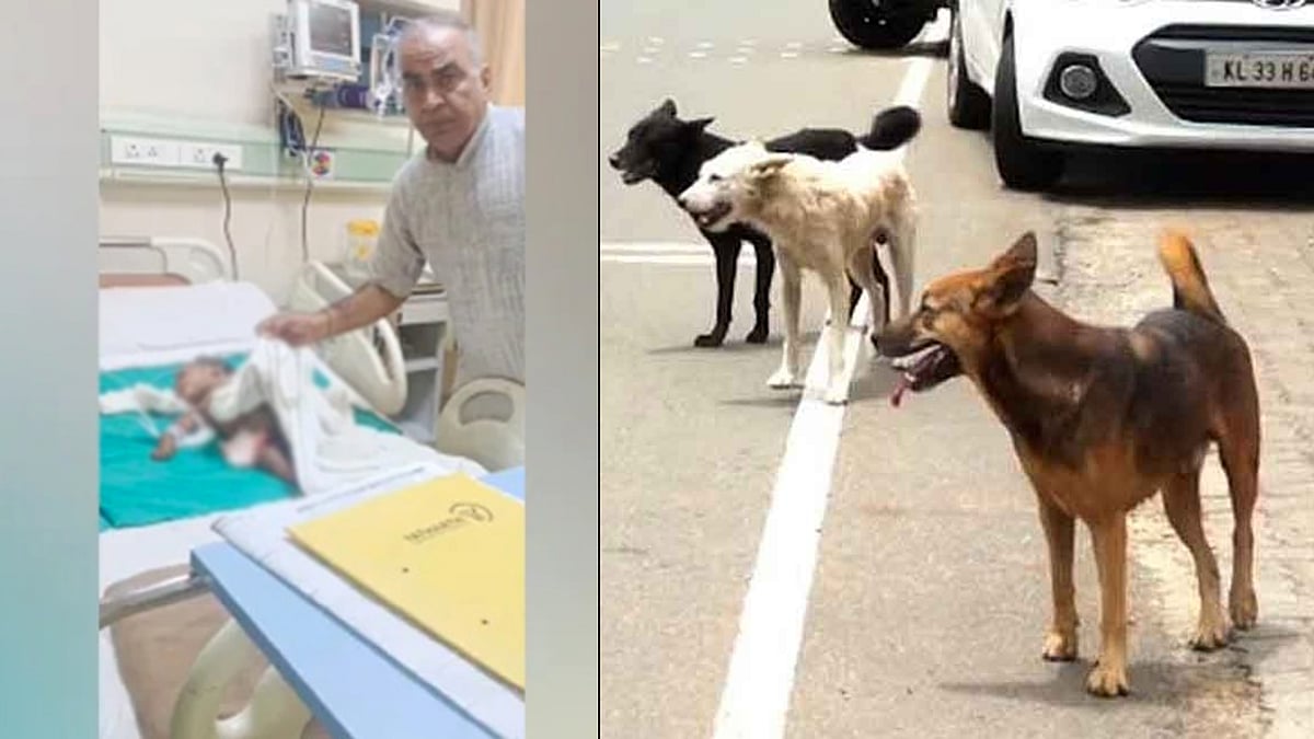 கட்டட வேலைக்கு சென்ற பெற்றோர்.. தனியாக இருந்த 7 மாத பச்சிளம் குழந்தையை கடித்து குதறிய தெரு நாய் !