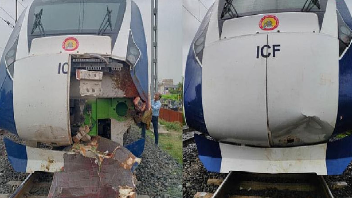 எருமை மாட்டை தொடர்ந்து பசுமாடு மீது மோதி 'வந்தே பாரத்' ரயில் சேதம்.. இரண்டு நாளில் அடுத்தடுத்து விபத்து !