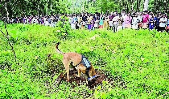 மனித இறைச்சி.. ஒவ்வொரு பாகத்திற்கு ஒவ்வொரு ரேட்.. கேரளா நரபலி சம்பவதத்தில் திடுக்கிடும் வாக்குமூலம் !