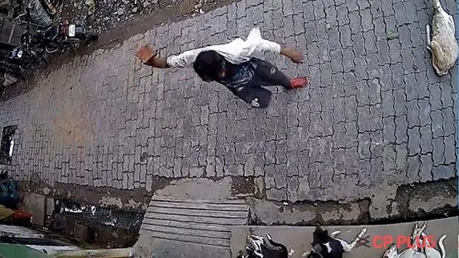 குரைத்துக் கொண்டே இருந்த நாய்.. கல்லால் அடித்து கொலை செய்த கொடூர வாலிபர்!