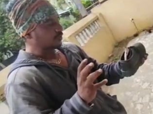 பள்ளி குழந்தை ஷூவில் குடியிருந்த நாக பாம்பு: வீட்டை சுத்தம் செய்த பெற்றோருக்கு காத்திருந்த அதிர்ச்சி!