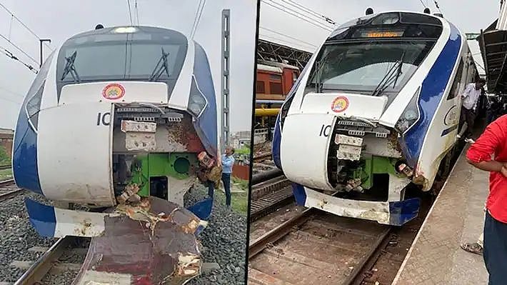 எருமை ஏன் அங்கே வந்தது? : உரிமையாளர்களின் மீது வழக்குப்பதிவு - வந்தே பாரத் ரயில் விவாகரத்தில் நடவடிக்கை!